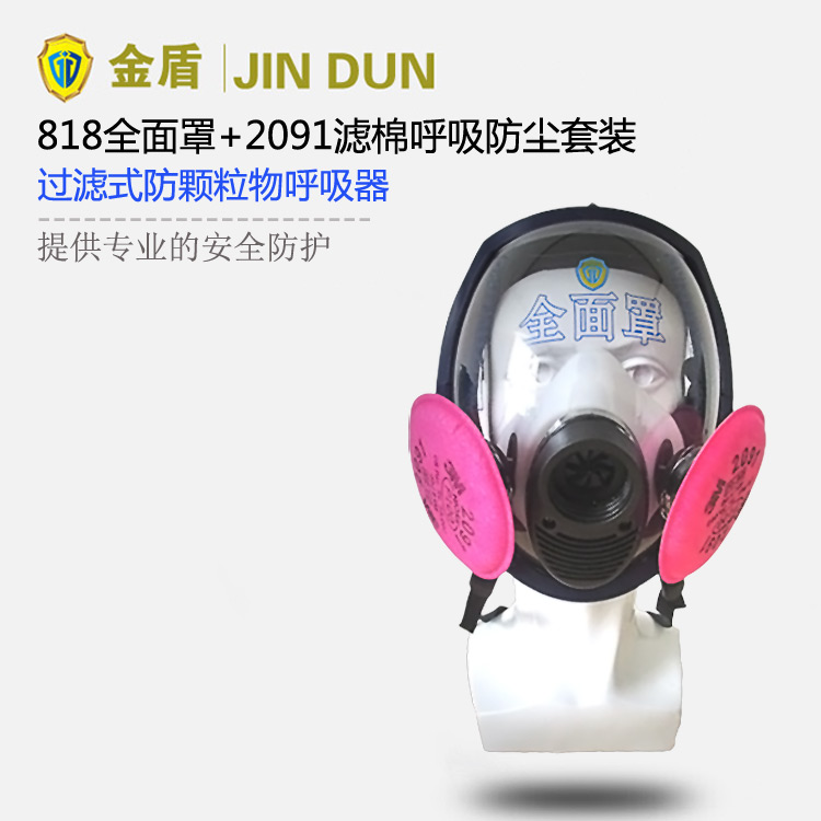 ���818Lȫ���ַ������+P100�������w����V��